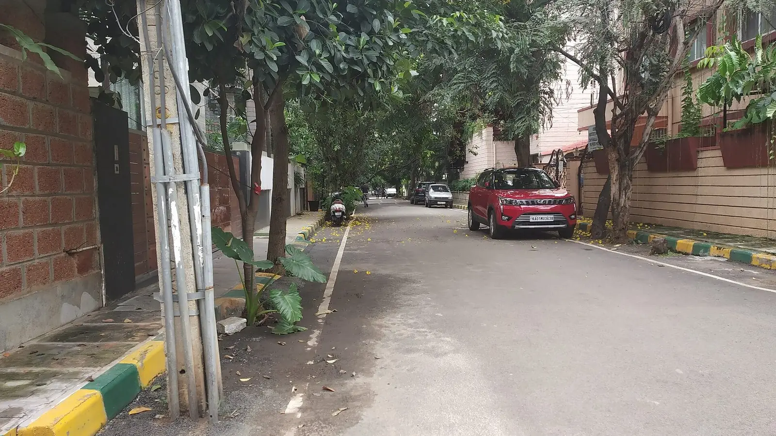 Illustration: a quiet tree-lined residential street (1st Cross) in Defence Colony.