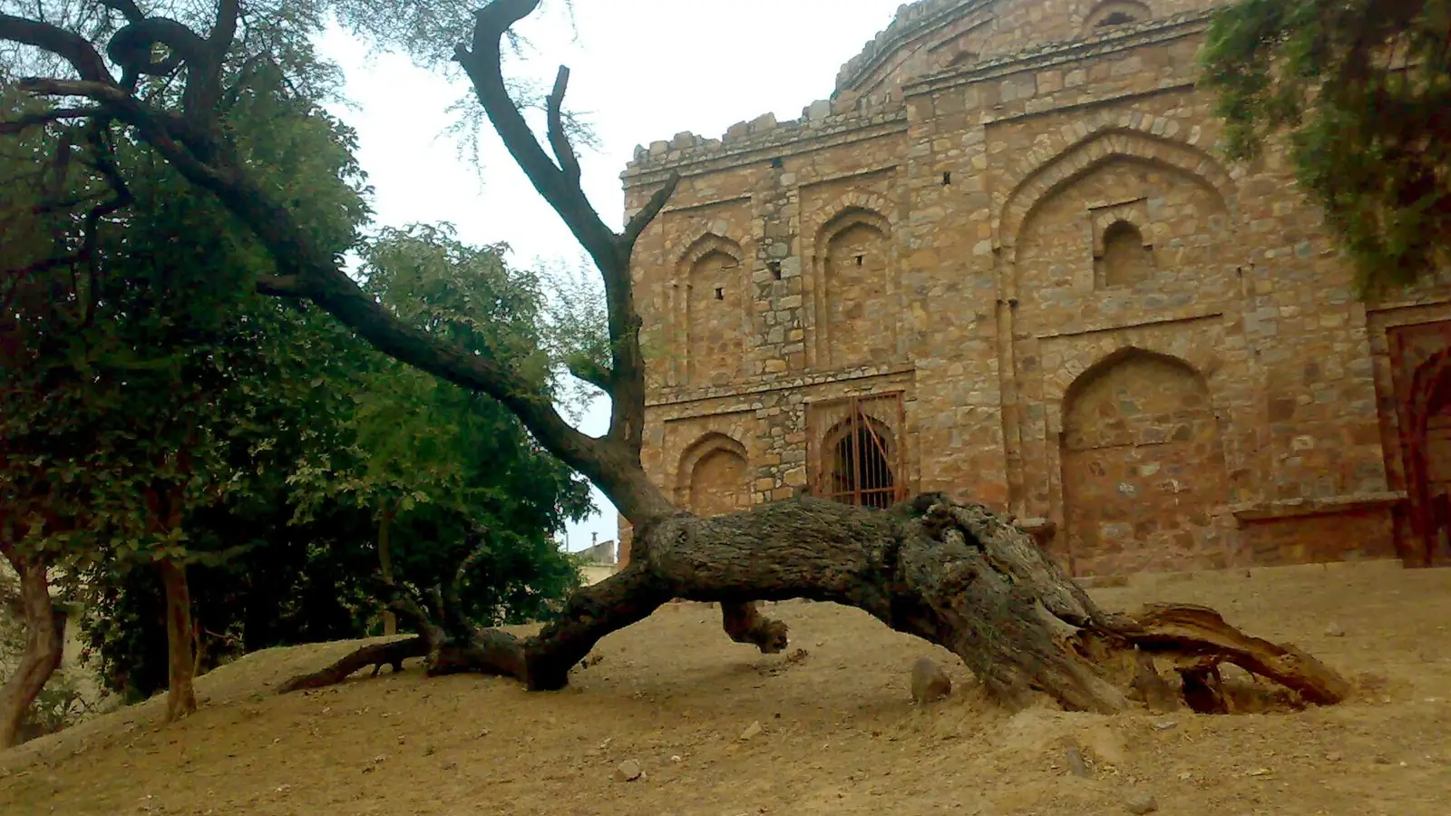 Illustration: lodi-era stone tomb in a park in Sector 4, R.K. Puram.